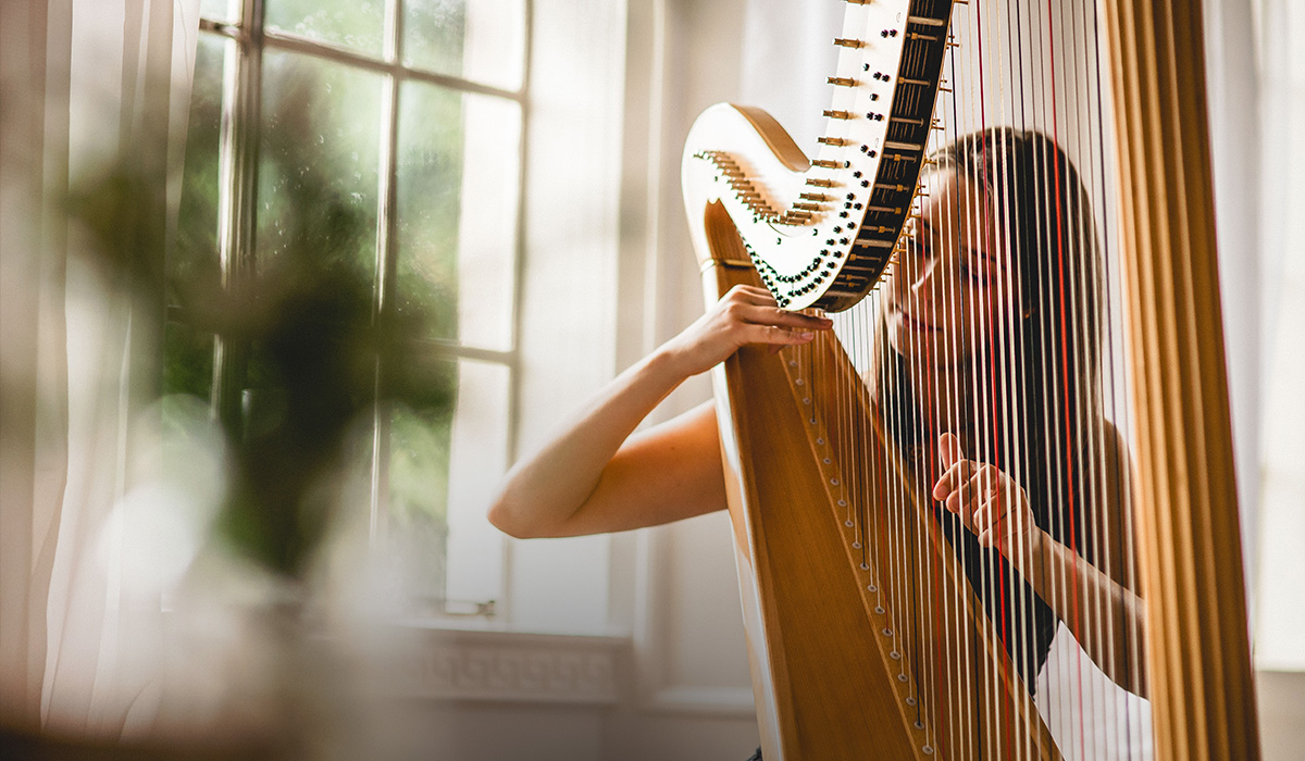 Harpist